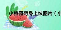 小豬佩奇身上紋圖片(小豬佩奇身上)