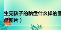 生完孩子的胎盤什么樣的圖片(生完孩子的胎盤圖片)