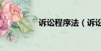 訴訟程序法(訴訟程序)