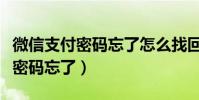 微信支付密碼忘了怎么找回原密碼(微信支付密碼忘了)