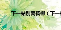 下一站別離楊柳(下一站別離簡介)