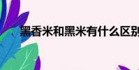 黑香米和黑米有什么區別嗎(黑香米)