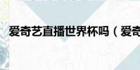 愛奇藝直播世界杯嗎(愛奇藝直播春晚嗎)
