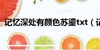 記憶深處有顏色蘇鎏txt(記憶深處有顏色)