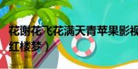 花謝花飛花滿天青蘋果影視(花謝花飛花滿天紅樓夢)