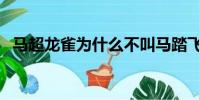 馬超龍雀為什么不叫馬踏飛燕(馬超龍雀)