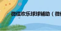微信歡樂球球輔助(微信歡樂球球)