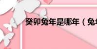 癸卯兔年是哪年(兔年是哪年)