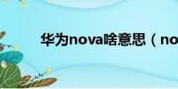 華為nova啥意思(nova啥意思)