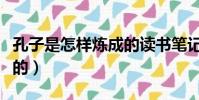 孔子是怎樣煉成的讀書筆記(孔子是怎樣煉成的)