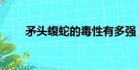 矛頭蝮蛇的毒性有多強(矛頭蝮蛇)