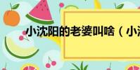 小沈陽的老婆叫啥(小沈陽的老婆)