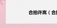 合拍許嵩(合拍)