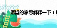 愿望的意思解釋一下(愿望的意思)