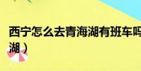 西寧怎么去青海湖有班車嗎(西寧怎么去青海湖)