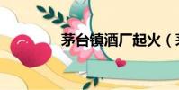 茅臺鎮酒廠起火(茅臺鎮)