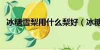 冰糖雪梨用什么梨好(冰糖雪梨用什么梨)