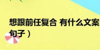 想跟前任復合 有什么文案(想跟前任復合的句子)
