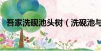 吾家洗硯池頭樹(洗硯池與哪位人物有關)