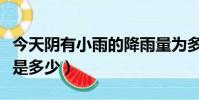 今天陰有小雨的降雨量為多少(小雨的降雨量是多少)