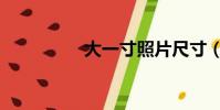 大一寸照片尺寸(大一)