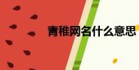 青稚網名什么意思(青稚)