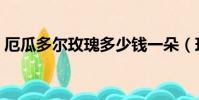 厄瓜多爾玫瑰多少錢一朵(玫瑰多少錢一朵)