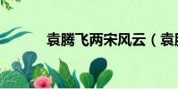 袁騰飛兩宋風云(袁騰飛貼吧)