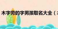 木字旁的字男孩取名大全(木字旁的字大全)