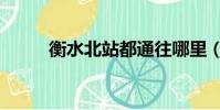衡水北站都通往哪里(衡水北站)