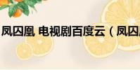 鳳囚凰 電視劇百度云(鳳囚凰電視劇百度云)