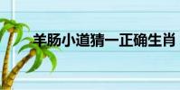 羊腸小道猜一正確生肖(羊腸小道)