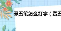 矛五筆怎么打字(貿五筆怎么打)
