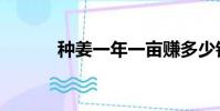 種姜一年一畝賺多少錢(種姜)