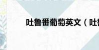 吐魯番葡萄英文(吐魯番葡萄)