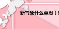 新氣象什么意思(新氣象)