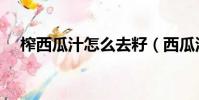 榨西瓜汁怎么去籽(西瓜汁怎么榨好喝)