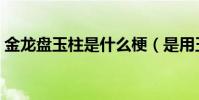 金龍盤玉柱是什么梗(是用玉勢不是用玉柱)