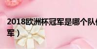 2018歐洲杯冠軍是哪個隊伍(2018歐洲杯冠軍)