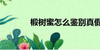 椴樹蜜怎么鑒別真假(椴樹)