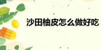 沙田柚皮怎么做好吃(沙田柚)