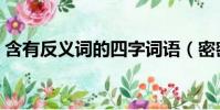 含有反義詞的四字詞語(密密麻麻的反義詞)
