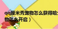 qq厘米秀寵物怎么獲得哈士奇(qq厘米秀寵物怎么開啟)