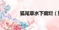 狐尾草水下腐爛(狐尾草)