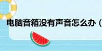 電腦音箱沒有聲音怎么辦(音箱沒有聲音)