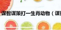 謀智謀策打一生肖動物(謀智謀策打一生肖)