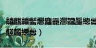 齉龘齉齾爩麤龗灪龖厵纞虋(麤龗灪龖厵爨癵髊麣纞虋)