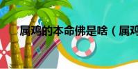 屬雞的本命佛是啥(屬雞的本命佛是)