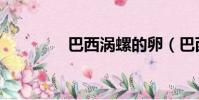 巴西渦螺的卵(巴西渦螺)