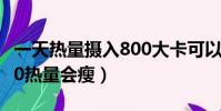 一天熱量攝入800大卡可以減肥(一天攝入800熱量會瘦)
